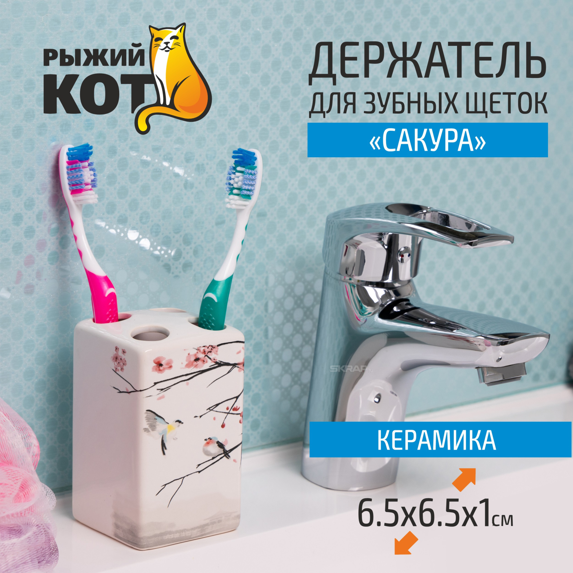 006519_MP_1